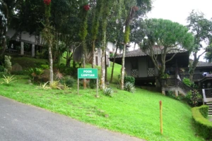 Dormitory (Pook Luntian) 2