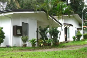 Folk Dance Studio (Vargas) 2