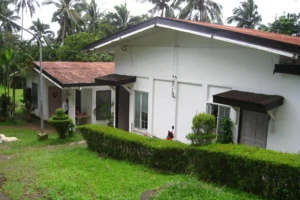 Folk Dance Studio (Vargas)