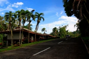 School Area